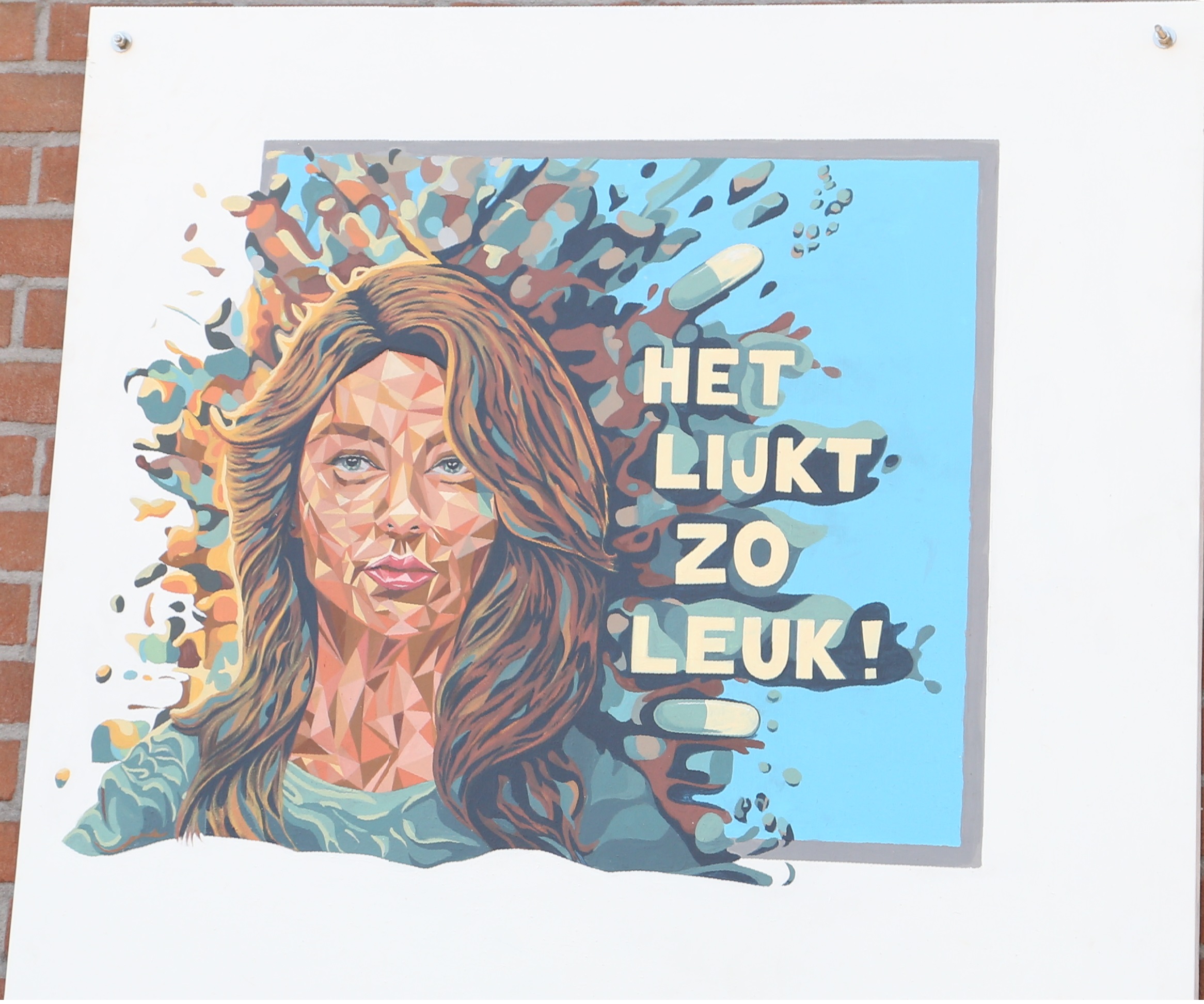 https://www.nieuwegeinsewijken.nl/batau-zuid/upload/afbeeldingen/gevel4.jpg