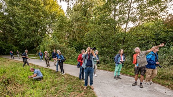 https://www.nieuwegeinsewijken.nl/batau-zuid/upload/afbeeldingen/groenwandeling.jpg