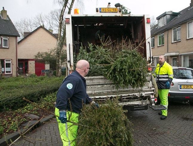 https://www.nieuwegeinsewijken.nl/batau-zuid/upload/afbeeldingen/kerstbomeninzameling-2025.jpg