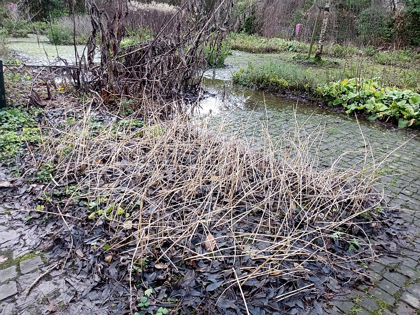 https://www.nieuwegeinsewijken.nl/batau-zuid/upload/afbeeldingen/kruidentuin2.jpg