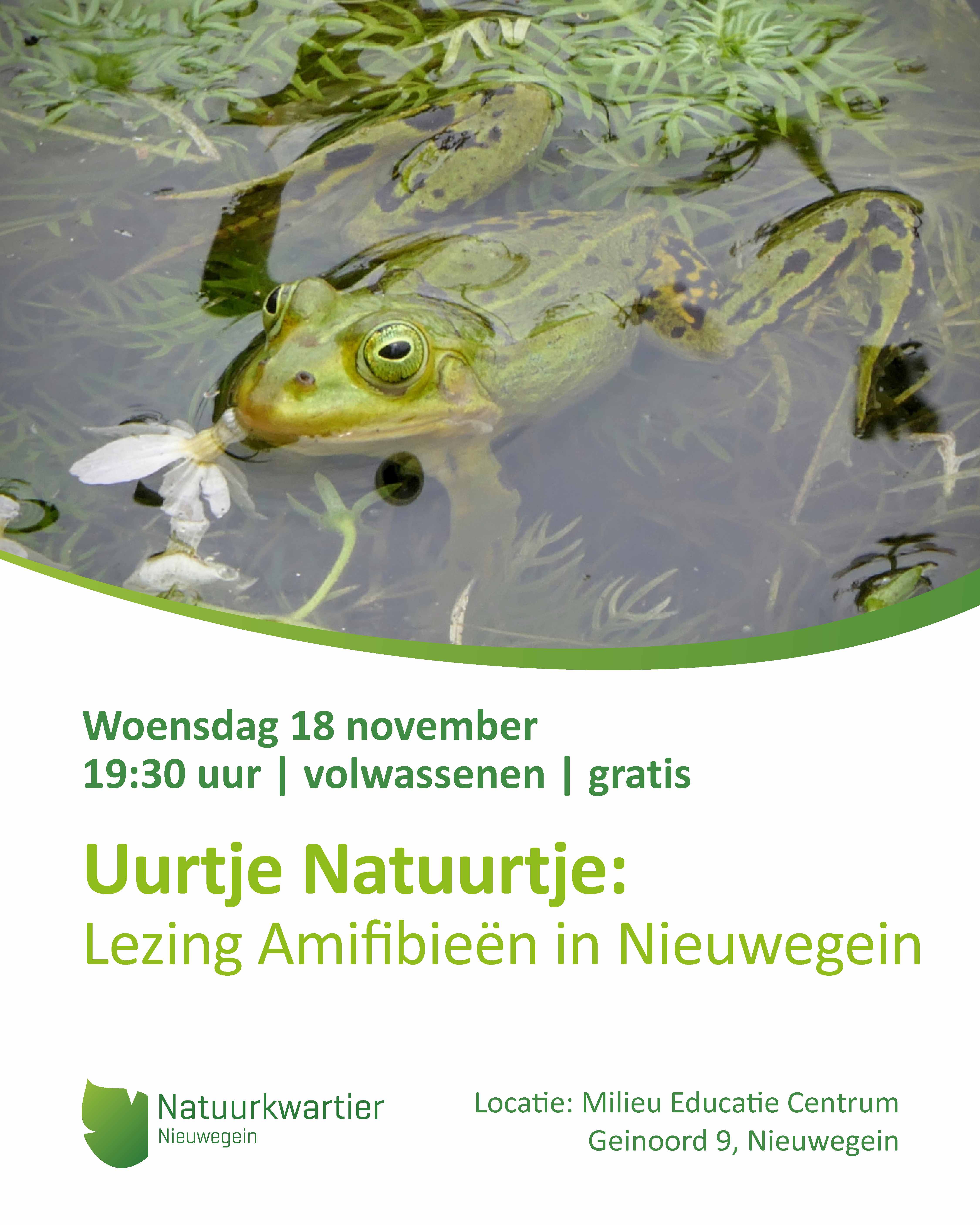 https://www.nieuwegeinsewijken.nl/batau-zuid/upload/afbeeldingen/uurtjenatuurtje-lezing-amfibieen.jpg