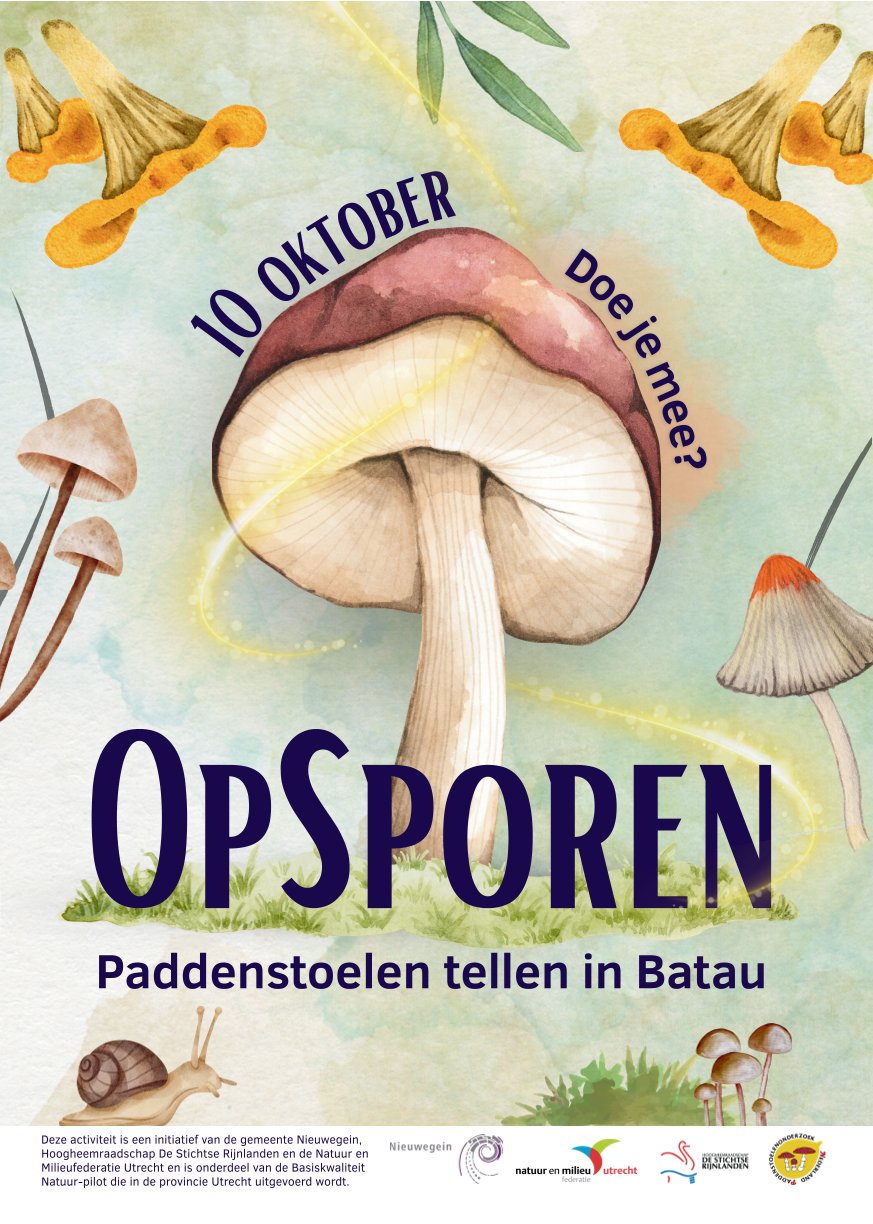 https://www.nieuwegeinsewijken.nl/batau-zuid/upload/bestanden/opsporen-flyer-20261010-0.jpg
